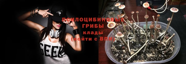 дмт Алексин