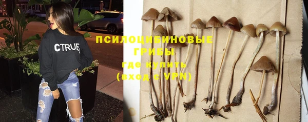 дмт Алексин