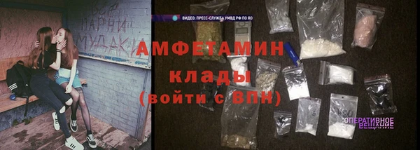 PSILOCYBIN Рославль