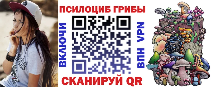 купить наркотики цена  Петров Вал  Галлюциногенные грибы GOLDEN TEACHER 